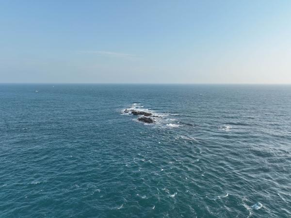 2024雞善塭（雞善礁）記錄