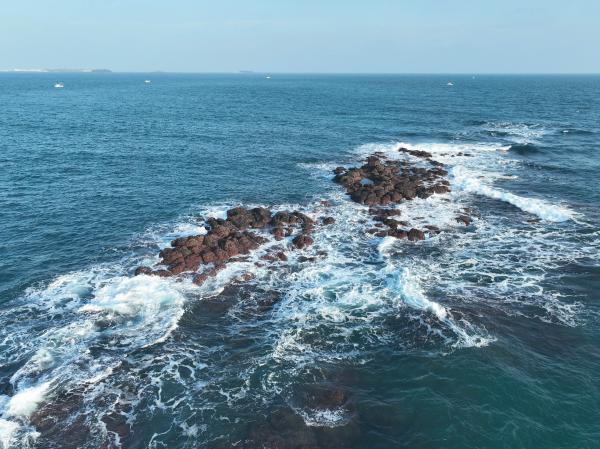 2024雞善塭（雞善礁）記錄