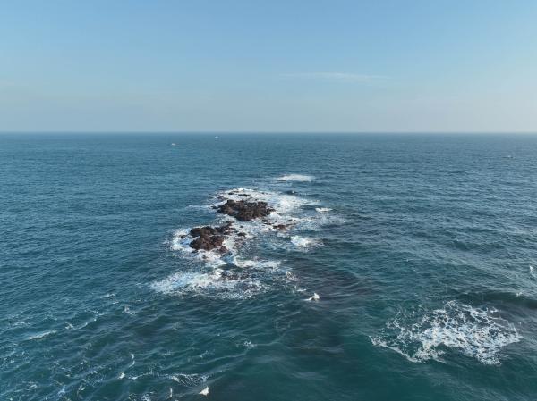 2024雞善塭（雞善礁）記錄