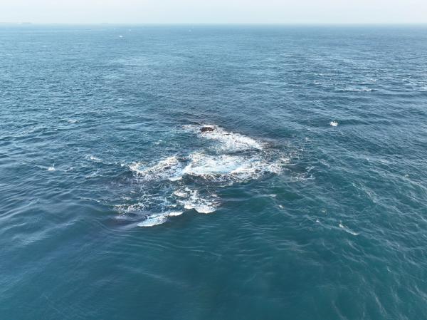 2024錠鉤礁（錠鉤塭）記錄