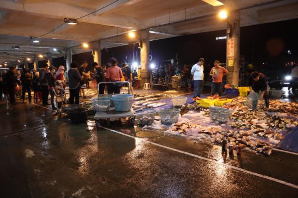 2024澎湖漁市場記錄