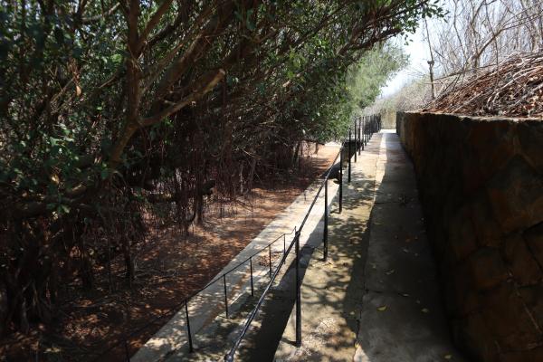 2024西嶼東堡壘記錄