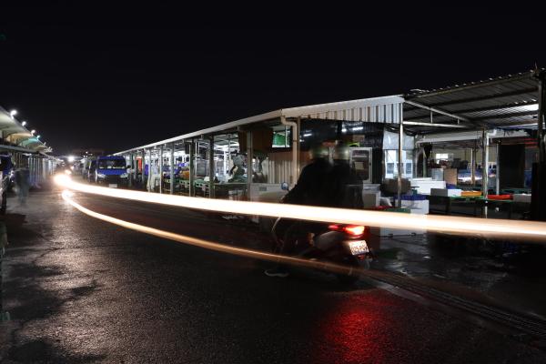 2024澎湖漁市場記錄