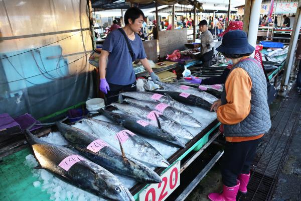 2024澎湖漁市場記錄