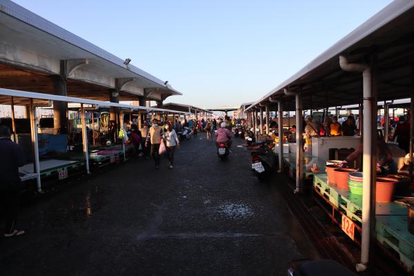 2024澎湖漁市場記錄