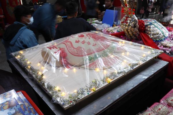 2024安良廟鳳片龜記錄