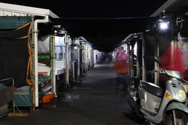 2024澎湖漁市場記錄