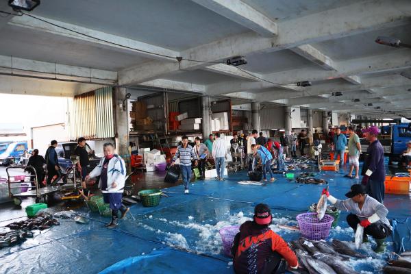 2024澎湖漁市場記錄
