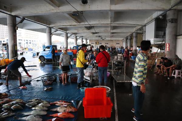 2024澎湖漁市場記錄