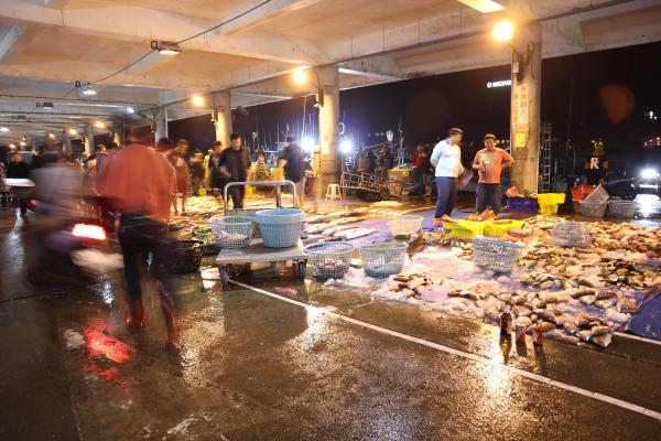 2024澎湖漁市場記錄