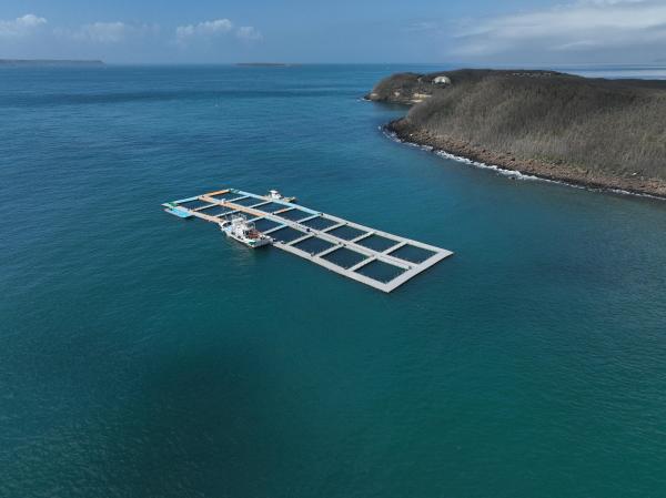 2024嵵裡水產養殖記錄