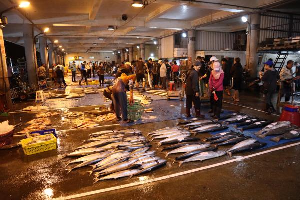2024澎湖漁市場記錄