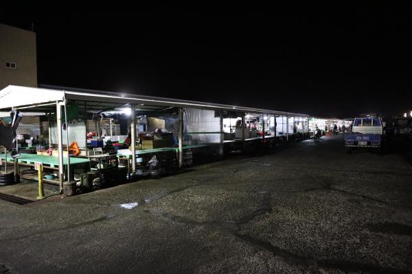 2024澎湖漁市場記錄