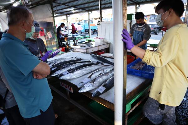 2024澎湖漁市場記錄