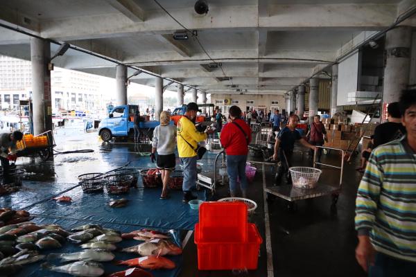 2024澎湖漁市場記錄