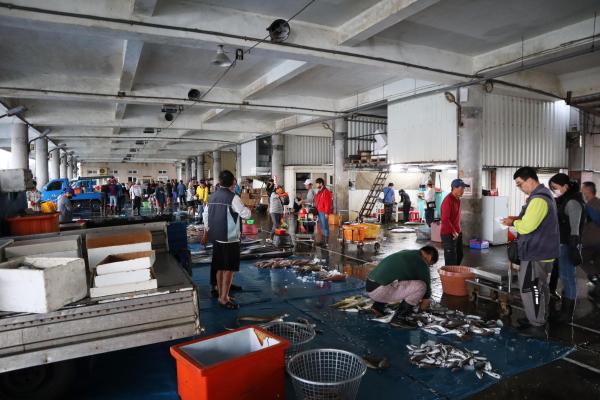 2024澎湖漁市場記錄