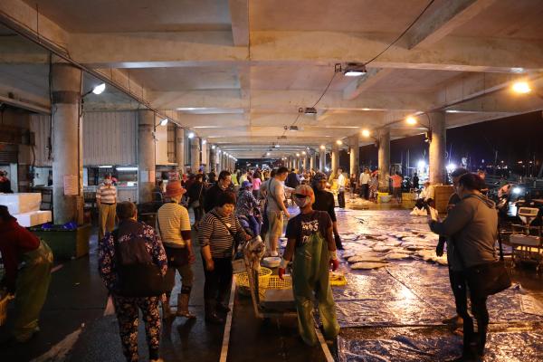 2024澎湖漁市場記錄