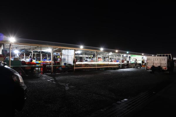 2024澎湖漁市場記錄