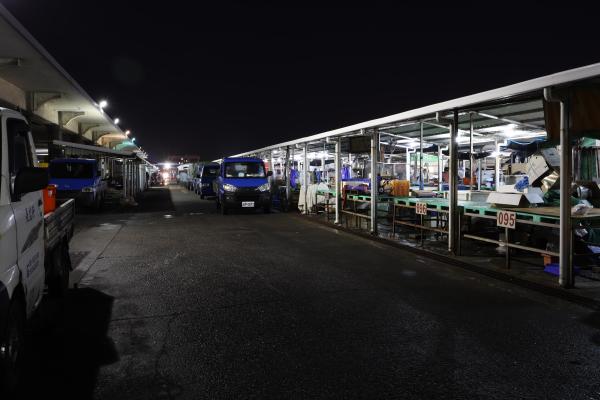 2024澎湖漁市場記錄