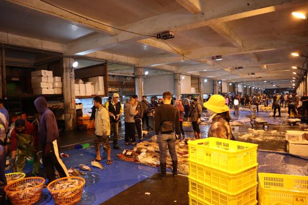 2024澎湖漁市場記錄