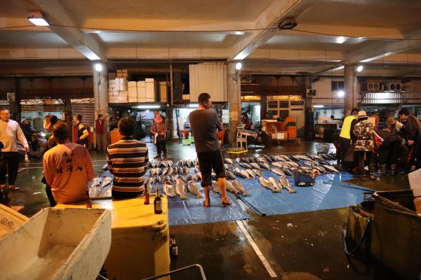 2024澎湖漁市場記錄