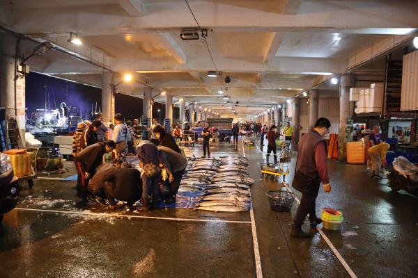 2024澎湖漁市場記錄