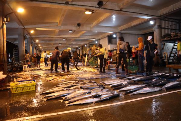 2024澎湖漁市場記錄