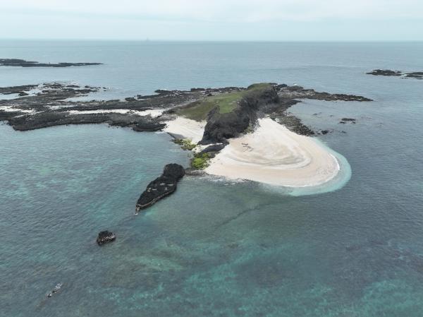 2024小白沙嶼記錄