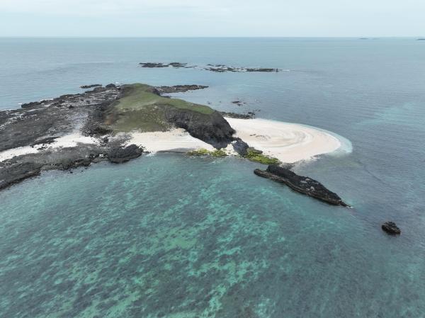 2024小白沙嶼記錄