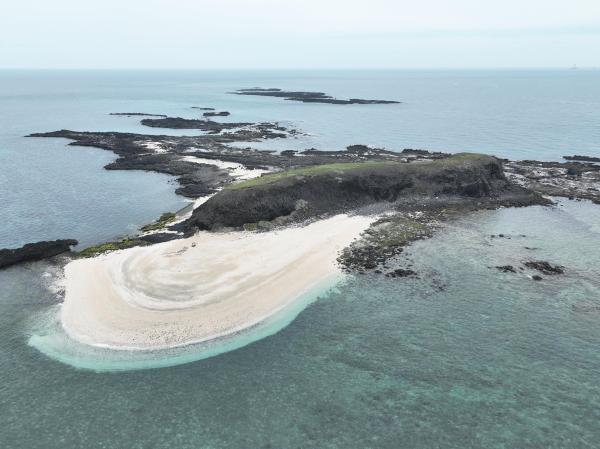 2024小白沙嶼記錄