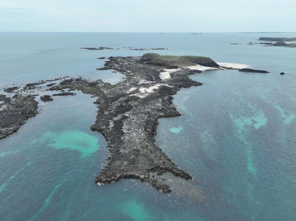 2024小白沙嶼記錄