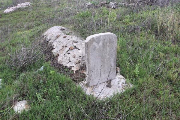 2024後壁山墓地記錄