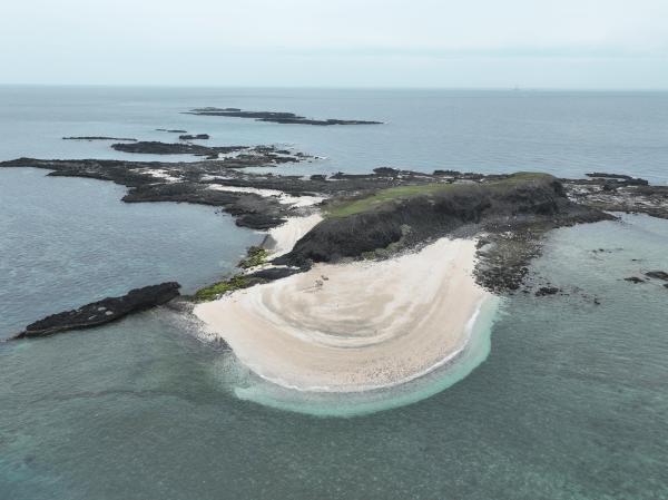 2024小白沙嶼記錄