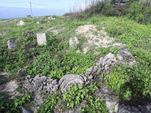 牛踏尾周邊墳墓記錄