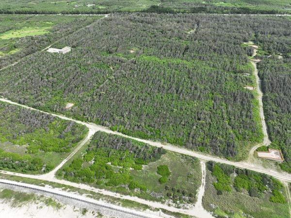 2024赤崁地下水庫記錄