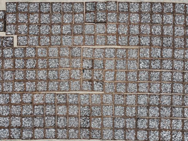 2024漁工新村記錄