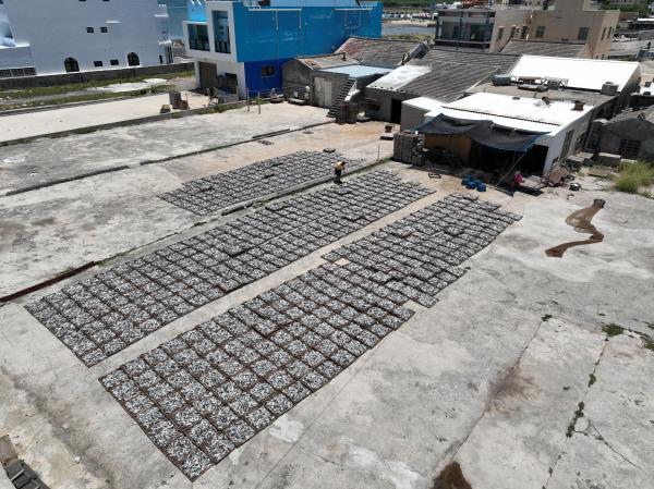 2024漁工新村記錄