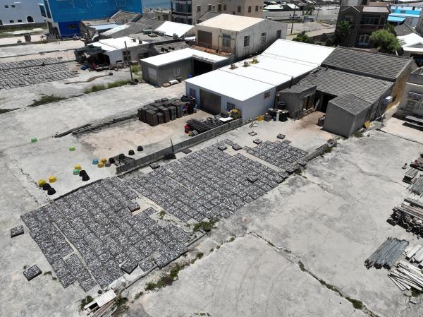 2024漁工新村記錄