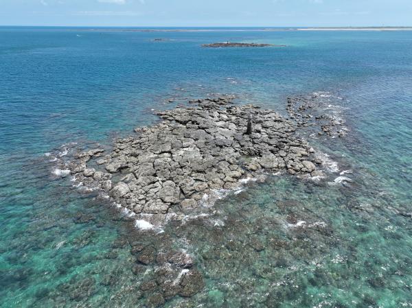 2024小柴面礁記錄