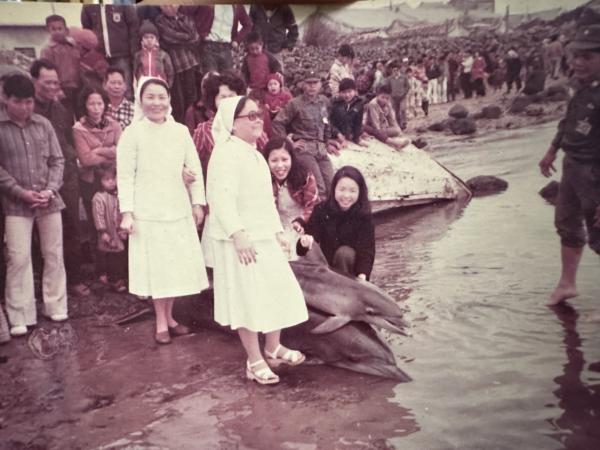 沙港村海豚黑白影像記錄