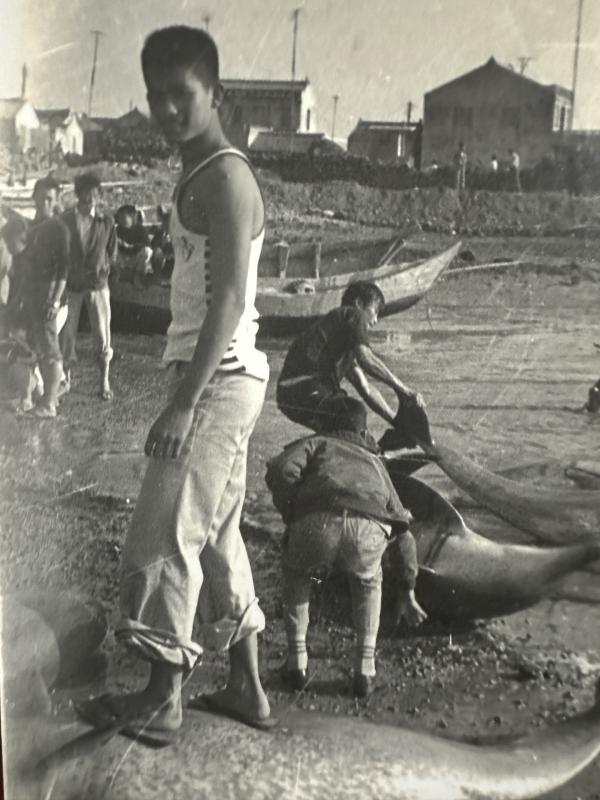 沙港村海豚黑白影像記錄