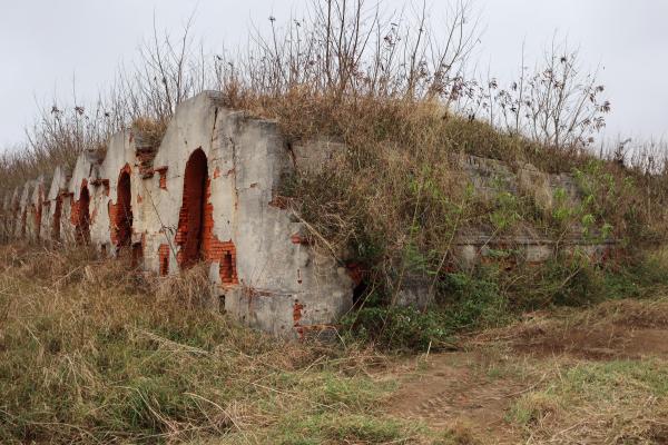 2024紅羅紅磚廠記錄