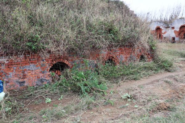 2024紅羅紅磚廠記錄