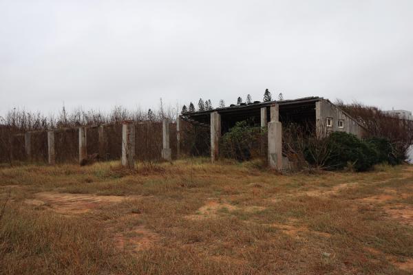 2024紅羅紅磚廠記錄