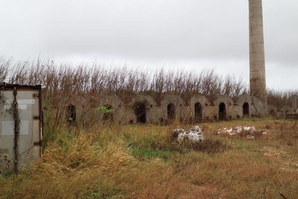 2024紅羅紅磚廠記錄