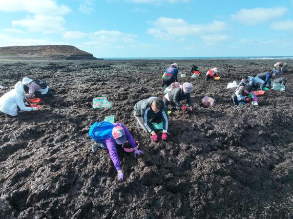 2024姑婆嶼紫菜採集