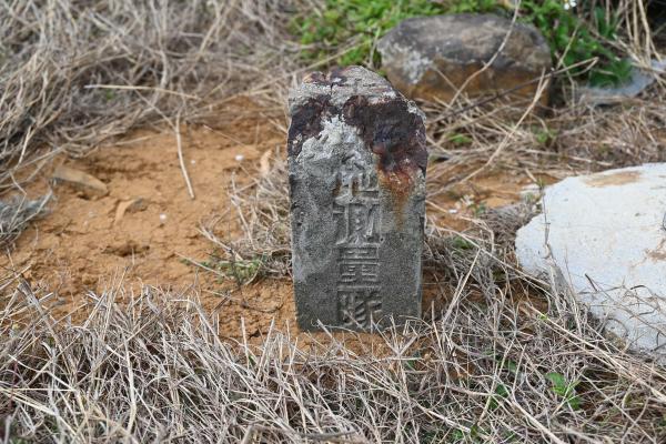 2024陸補41號記錄