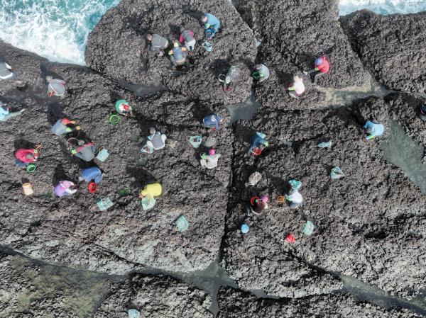 2024姑婆嶼紫菜採集