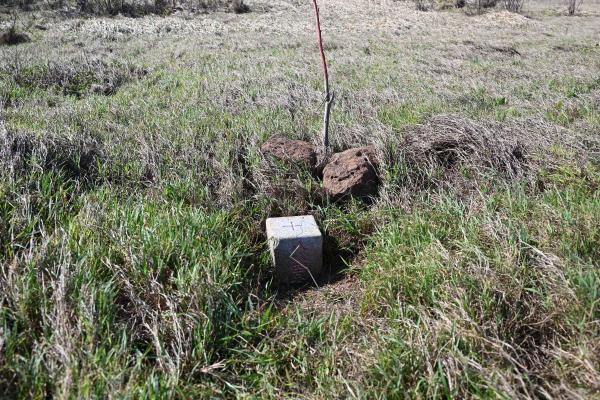 2024三等三角點記錄