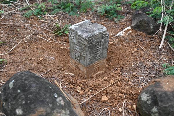 2024三角點陸補25記錄